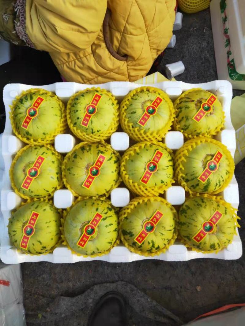 辽宁北镇花蕾绿宝61头茬甜瓜大量上市产地直供质量保证