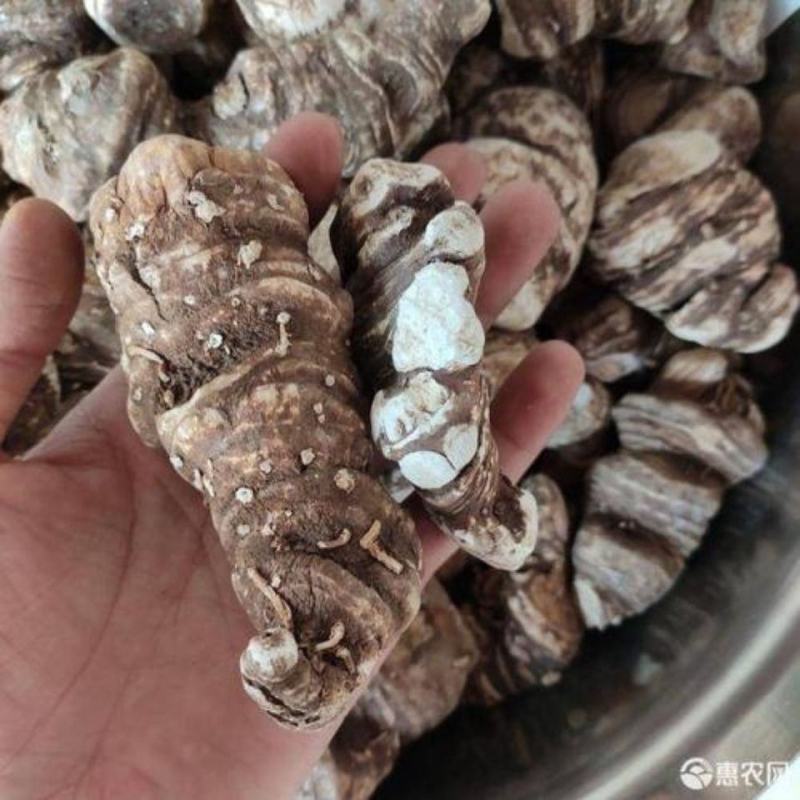 重楼产地云南道地药材，质优价实，药典标准支持线上交易