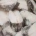 鳕鱼块，深海鳕鱼，一箱19斤，有需要的老板联系我