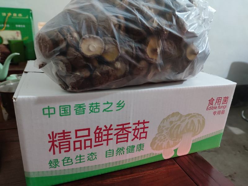干香菇冬菇一件代发包邮一件起批（3斤装）