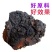 野生俄罗斯进口桦树茸白桦茸桦褐孔菌特级胰岛素黑金整块切块