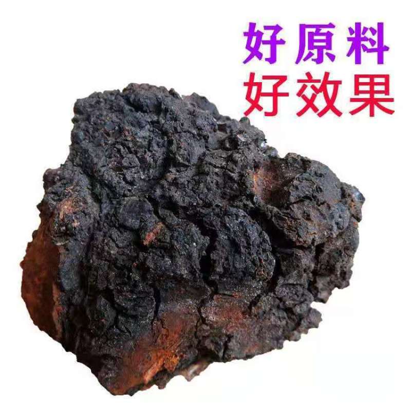 野生俄罗斯进口桦树茸白桦茸桦褐孔菌特级胰岛素黑金整块切块