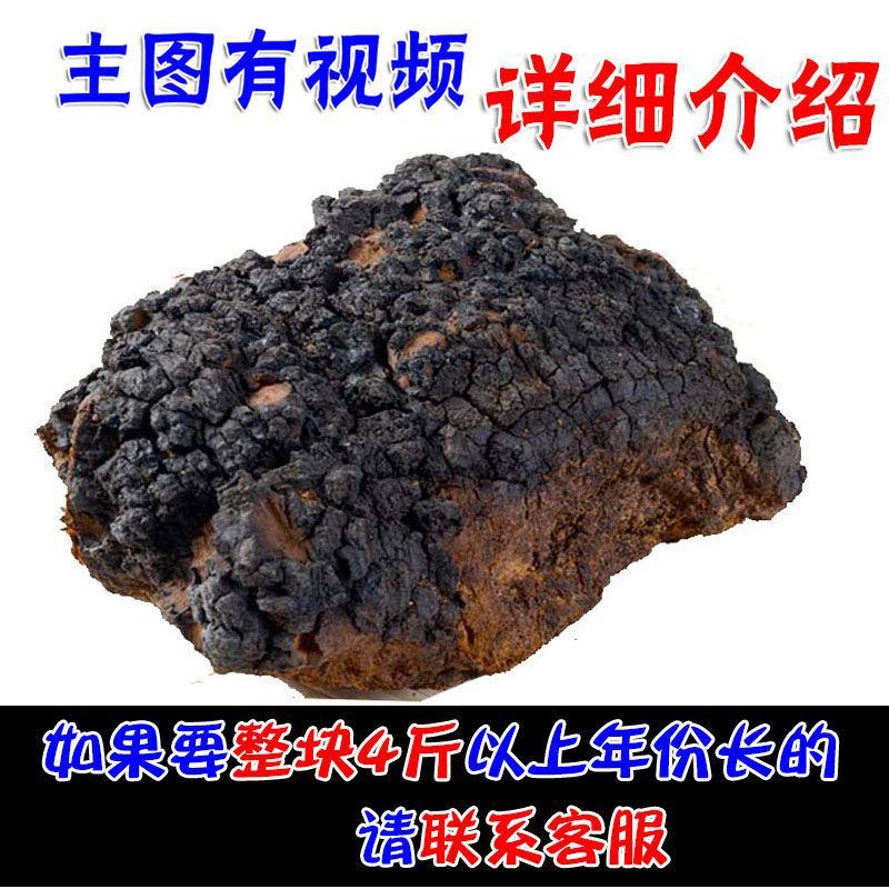 野生俄罗斯进口桦树茸白桦茸桦褐孔菌特级胰岛素黑金整块切块