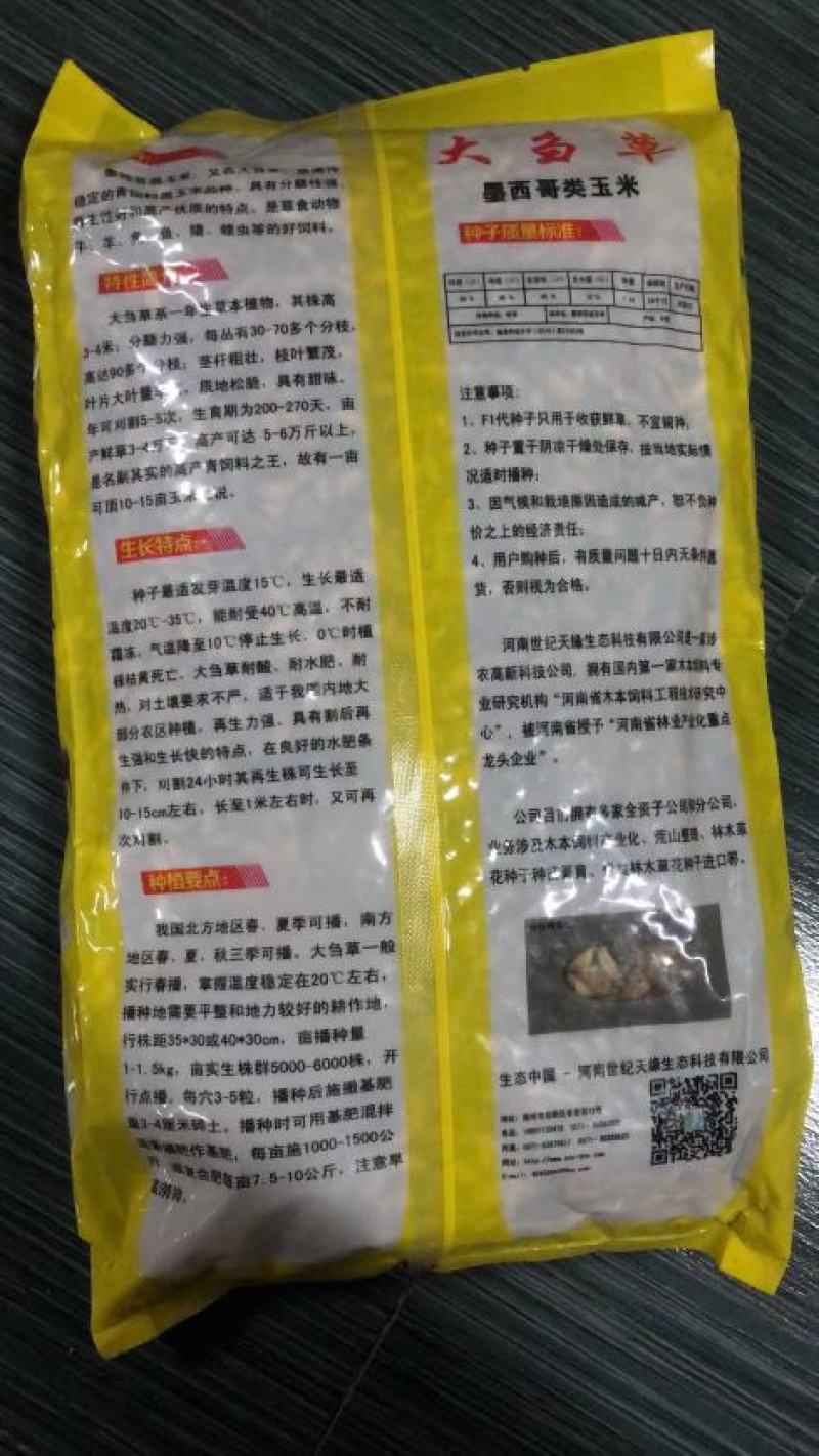 墨西哥玉米草种子阔叶大刍草牧草籽养殖猪牛羊鸡鸭鹅兔鱼草籽