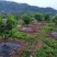pe防草园艺地布大棚地布除草垫除草地布除草布果园防草布厂