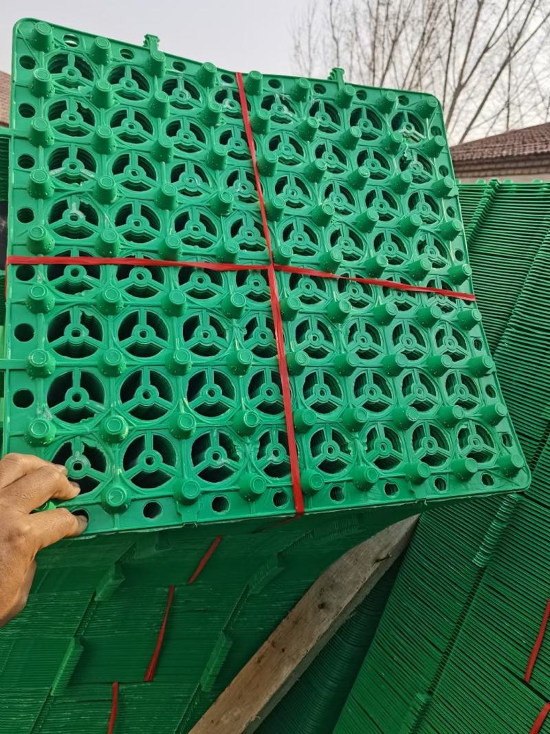 车库排水板绿化排水板蓄排水板厂家复合排水板土工布