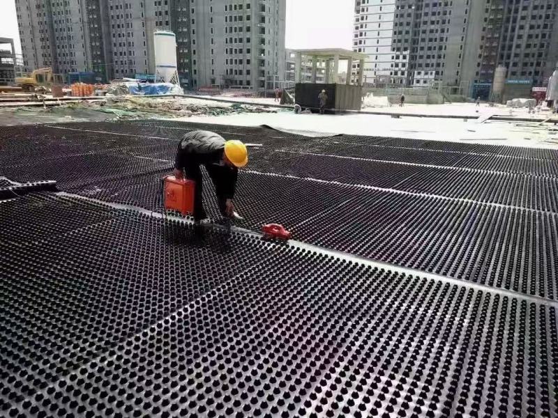 车库排水板绿化排水板蓄排水板厂家复合排水板土工布