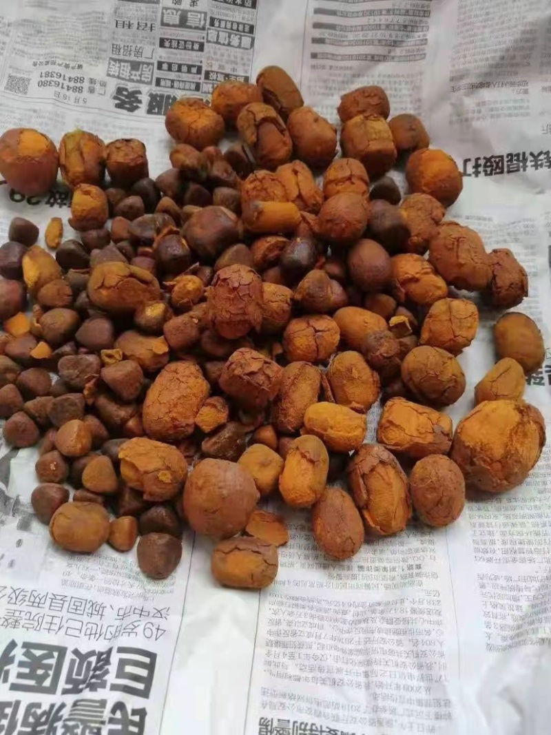 牛黄天然牛黄正宗天然牛胆黄粉牛结石包邮