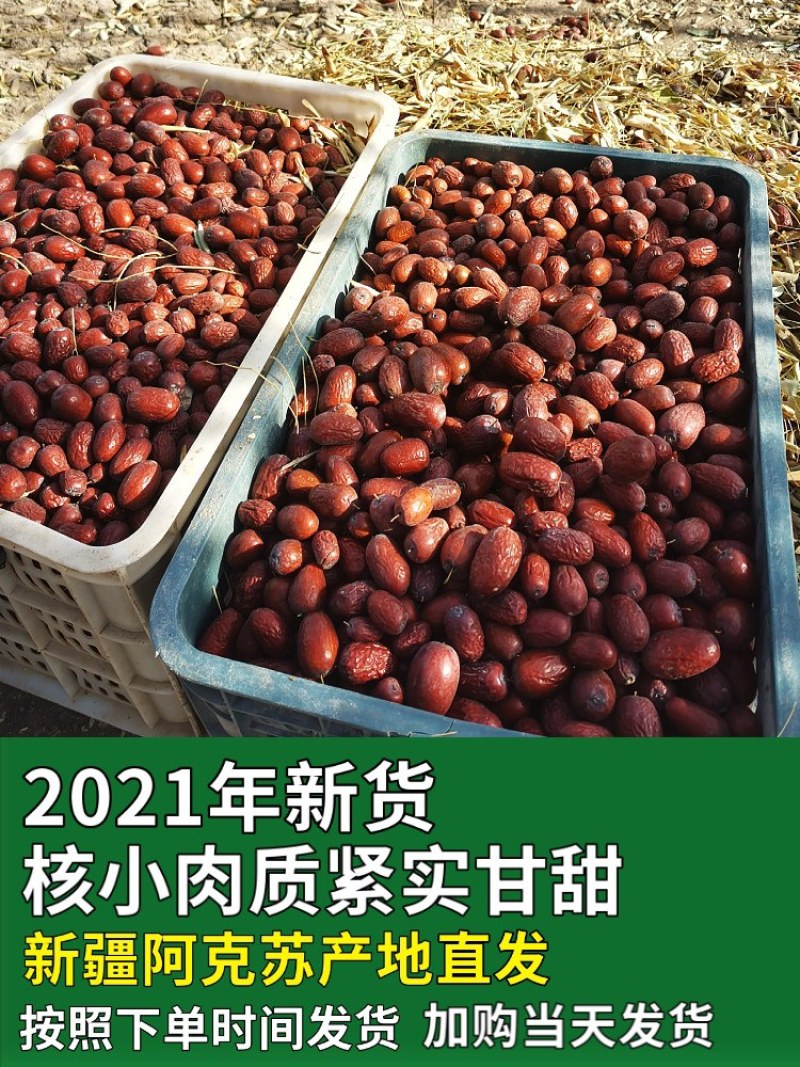 阿克苏红枣