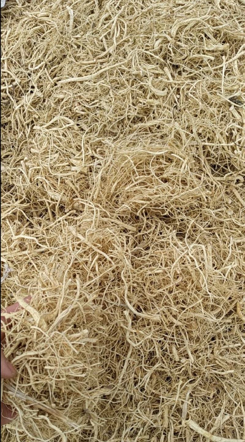 西洋参，西洋参须，西洋参碎须，西洋参手掰须，西洋打粉料