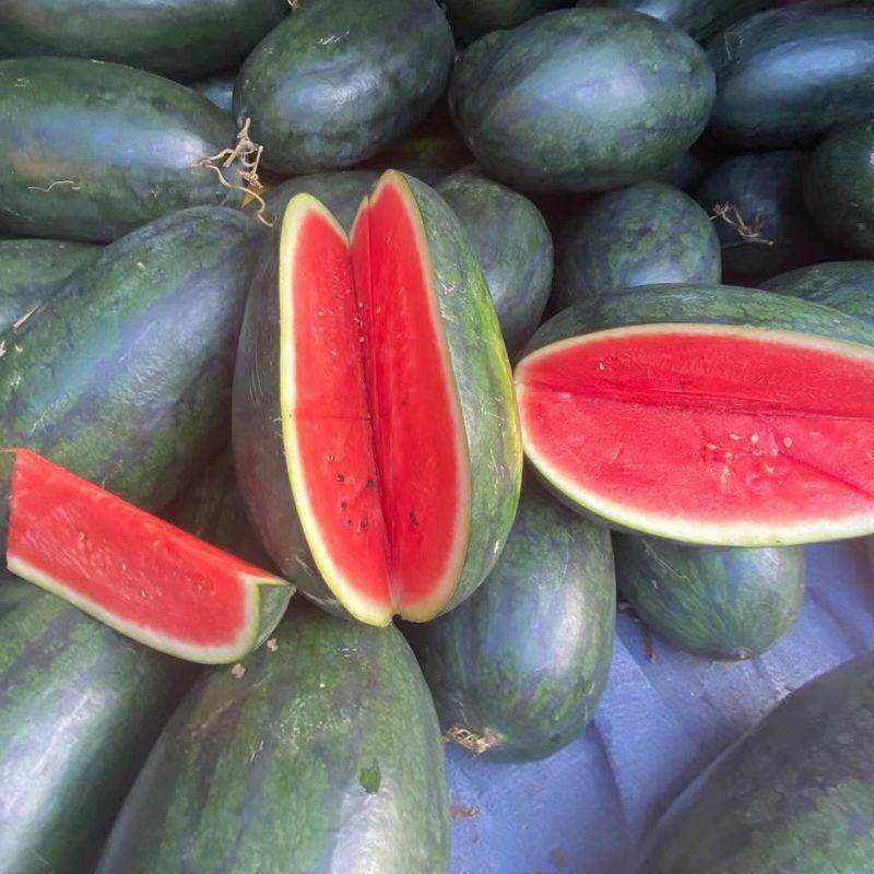 越南黑晶无籽西瓜种子进口高产黑皮超甜红瓤大西瓜黑金西瓜种