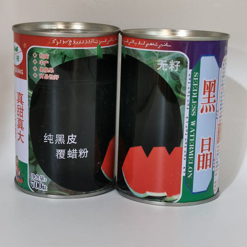 越南黑晶无籽西瓜种子进口高产黑皮超甜红瓤大西瓜黑金西瓜种
