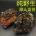 灵芝桦褐孔菌，白桦茸，西伯利亚货源，产地直供道地药材，