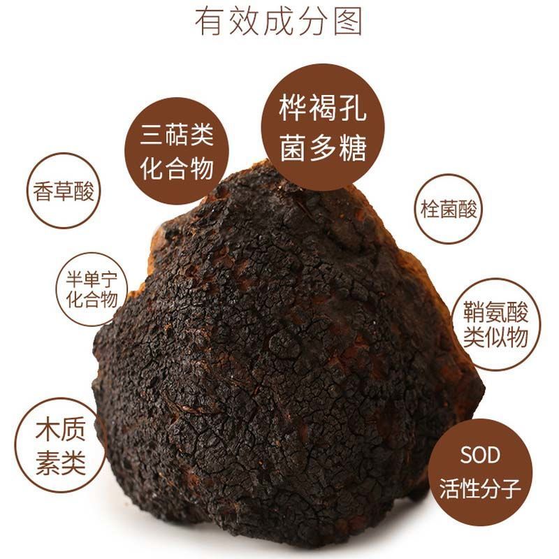 灵芝桦褐孔菌，白桦茸，西伯利亚货源，产地直供道地药材，
