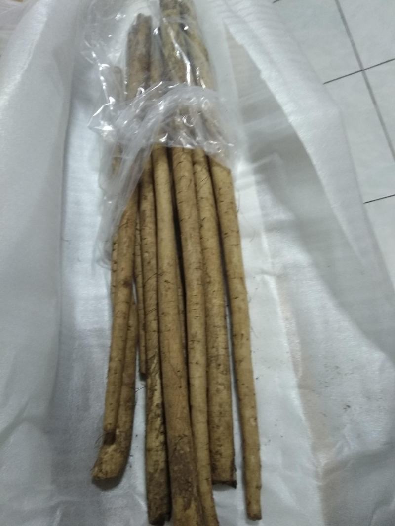 2022鲜牛蒡5斤包邮农家牛蒡鲜牛膀根包邮大粗下饭营养菜