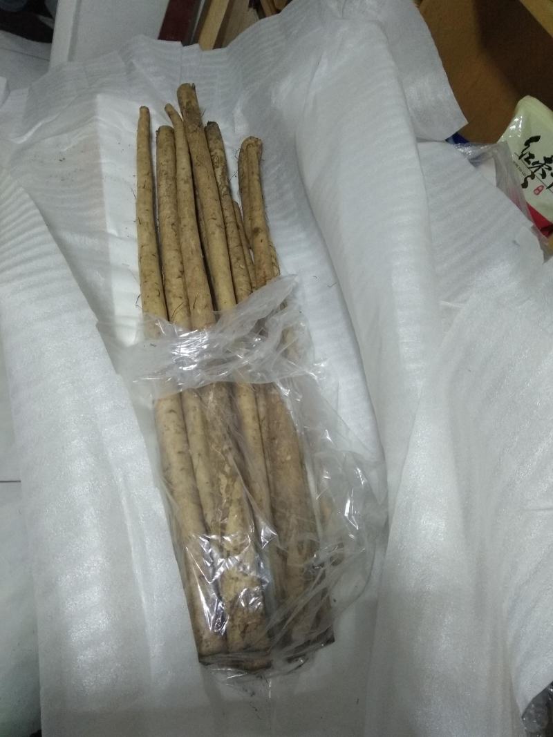 2022鲜牛蒡5斤包邮农家牛蒡鲜牛膀根包邮大粗下饭营养菜