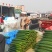 沂南黄瓜产地直供对接市场批发、电商超市食堂线上交易