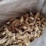 自种干鸡腿菇，质优价廉，一手货源。