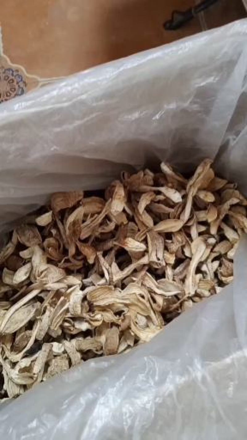 自种干鸡腿菇，质优价廉，一手货源。