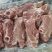 多肉国产叉骨，自助餐，饭店，专用食材，颜色新鲜