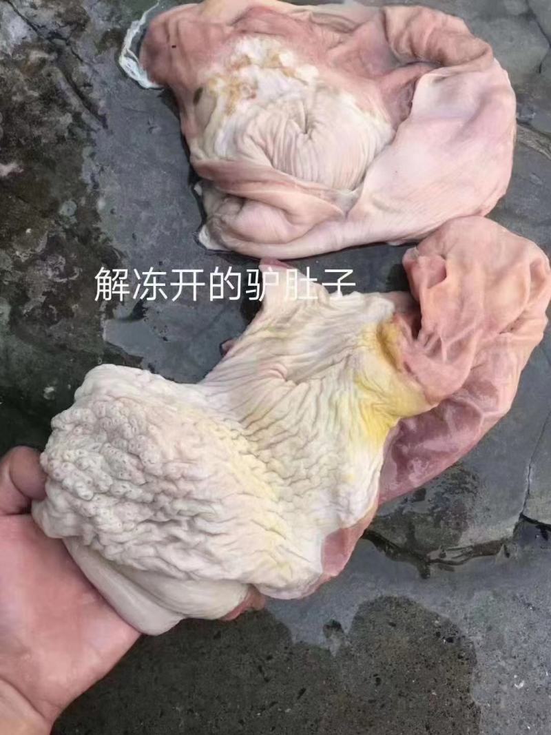 驴肚子！板肠口条蹄筋腱子干净颜色好？全程冷链运输！