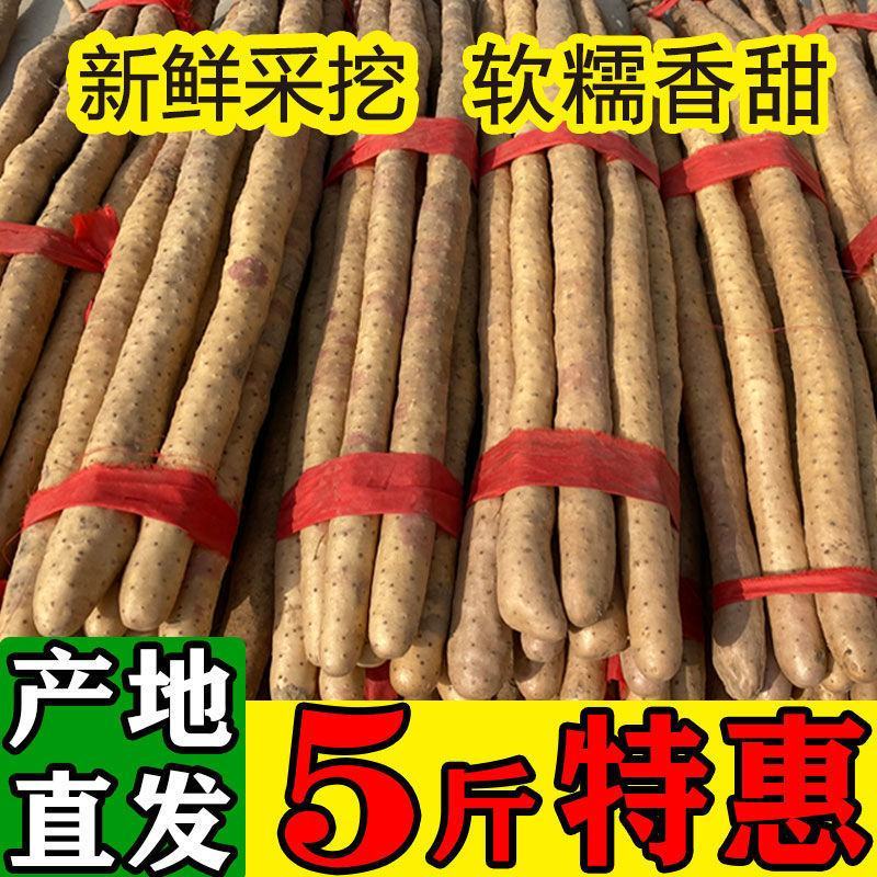 新鲜品质好的铁棍山药粗细均匀口感很好诚信经营