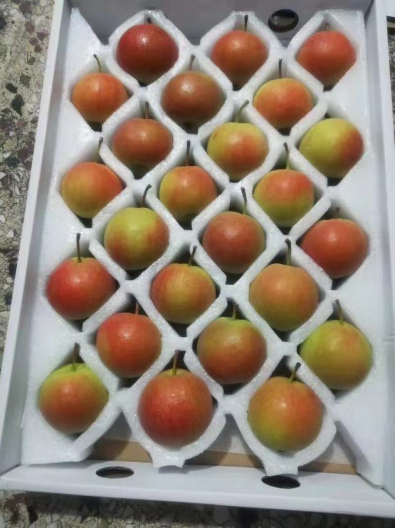 精品辽宁鞍山特产南果梨，香甜味浓礼盒装品质保证