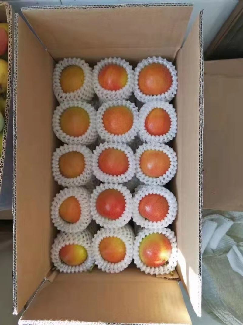 精品辽宁鞍山特产南果梨，香甜味浓礼盒装品质保证