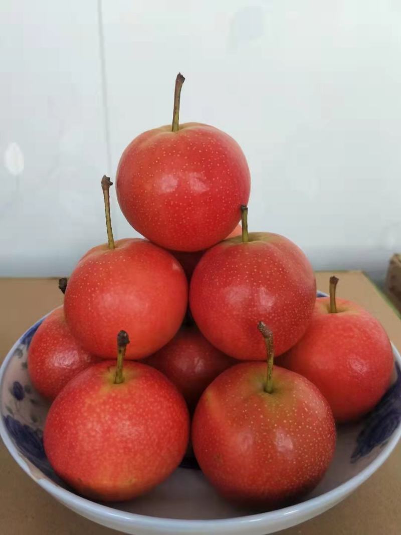 精品辽宁鞍山特产南果梨，香甜味浓礼盒装品质保证