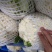 花菜，好货