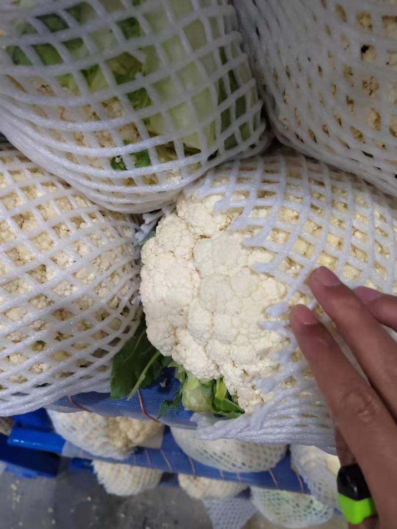 花菜，好货