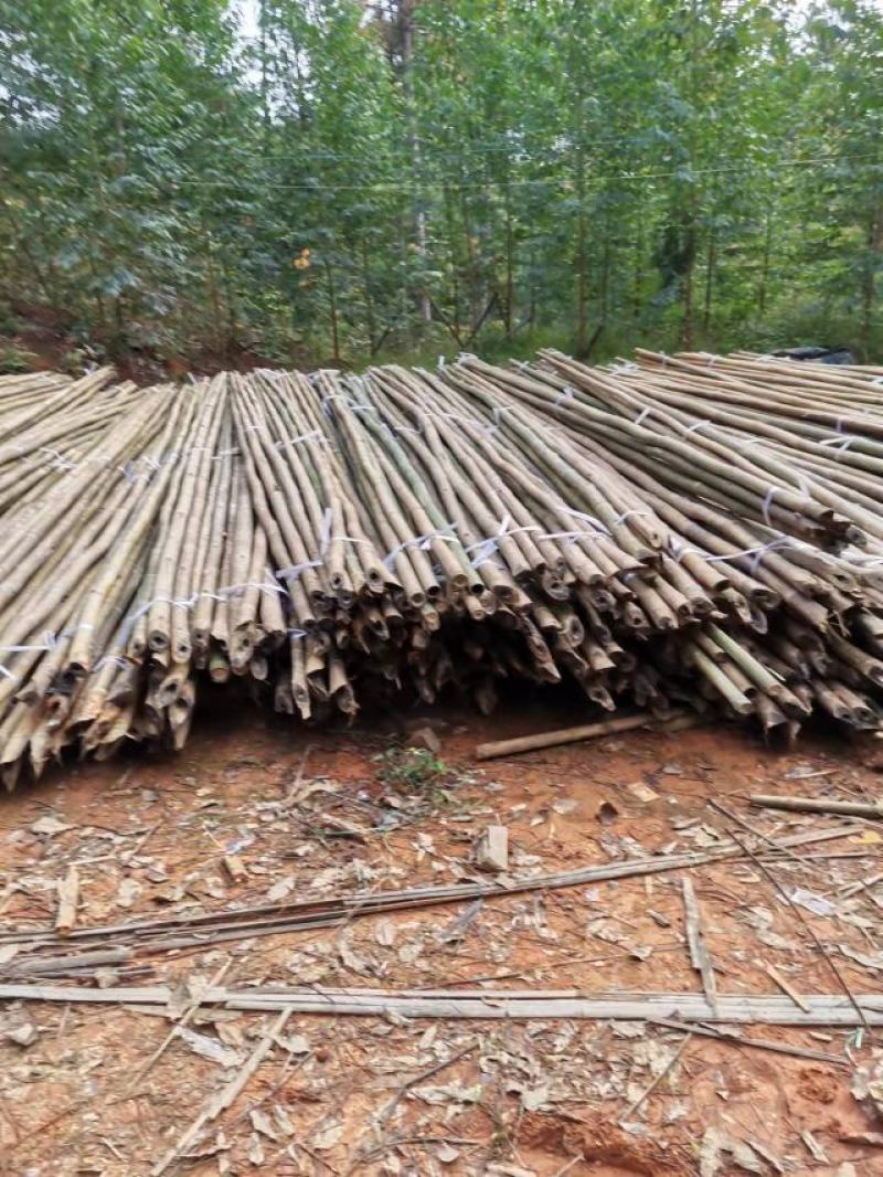 外架排山篙竹
