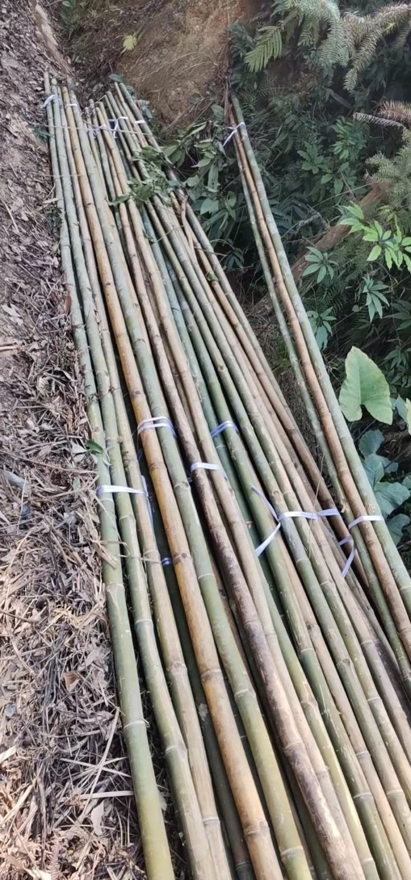 外架排山篙竹