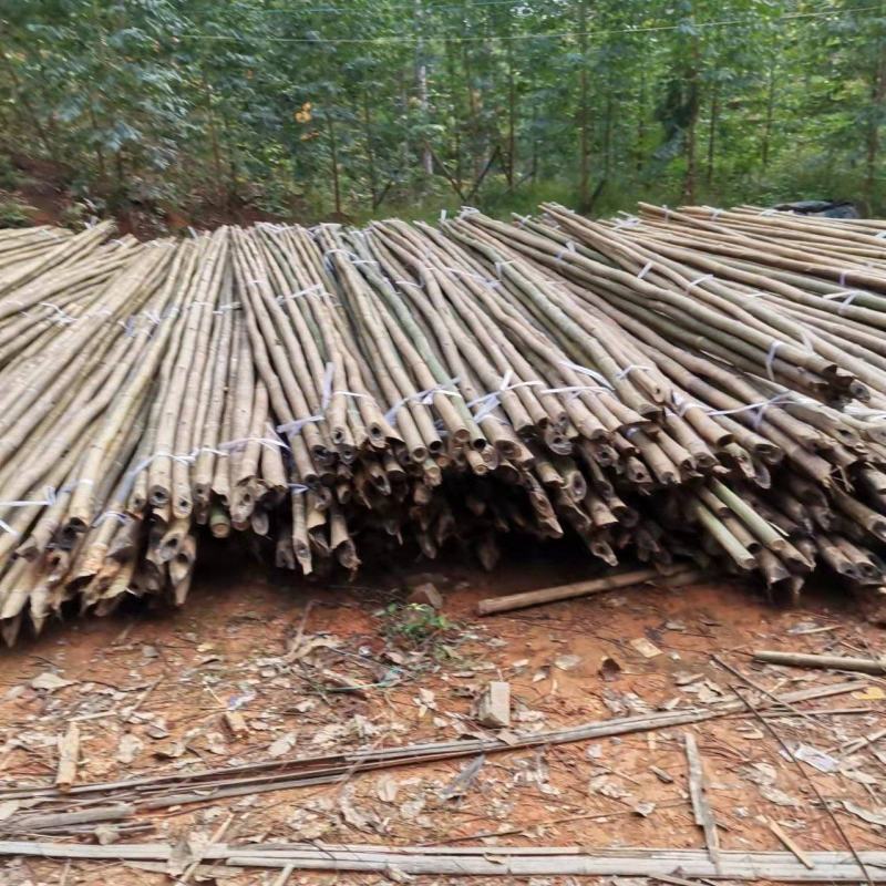 外架排山篙竹