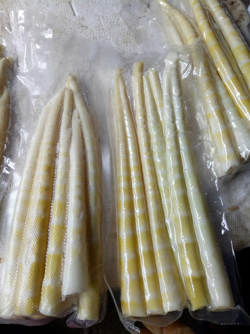 小竹笋上市，接电商一件代发，绿色健康，欢迎选购。