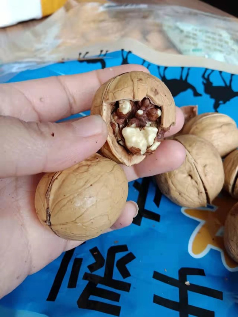 微商电商大卖新疆特产手剥烤核桃口味全支持一件代发