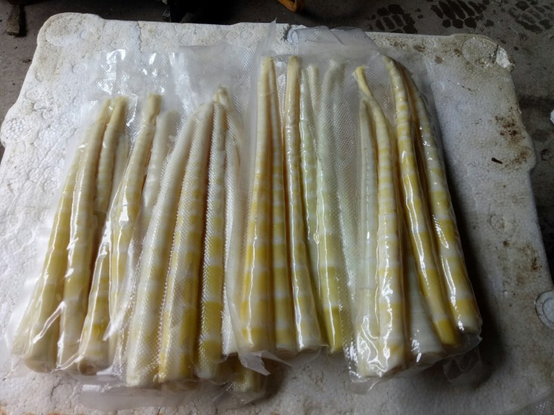 小竹笋上市，高山野生蔬菜，口感清甜脆口，欢迎选购
