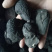 乌灵参,云南乌灵参,新货,道地药材,产地直供,新货药味重