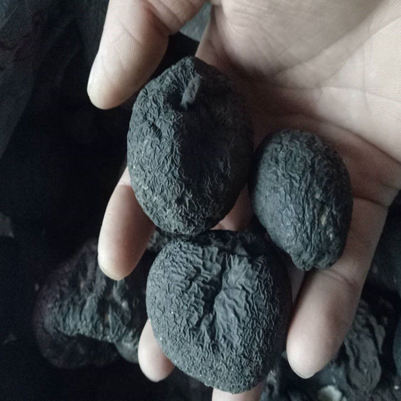 乌灵参，云南乌灵参，新货，道地药材，产地直供，新货药味重