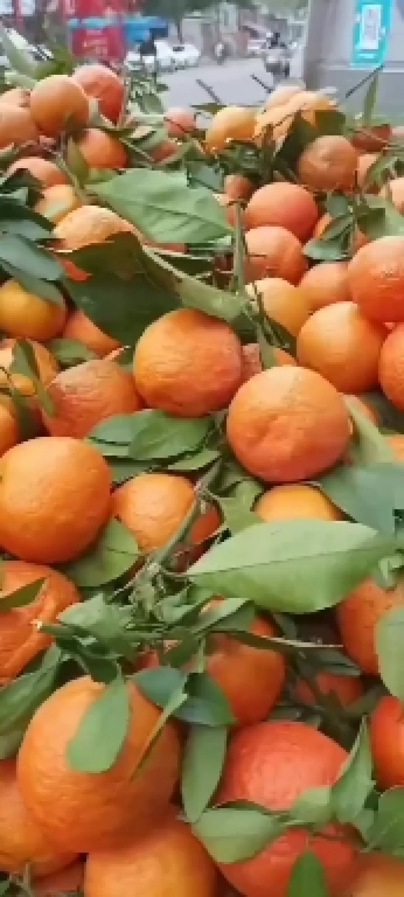 品质好，口感好。颜色又好。