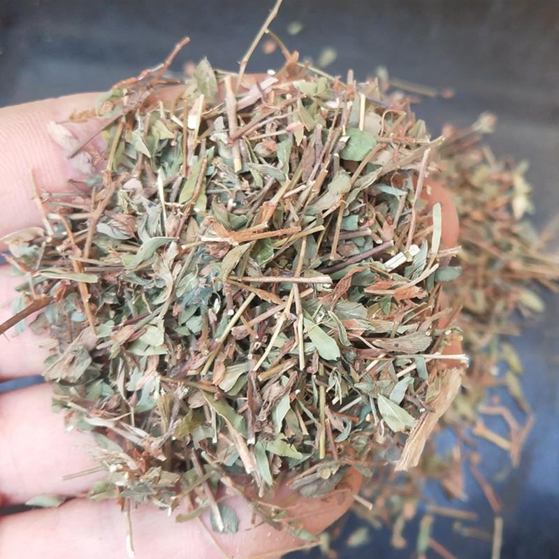 鸡眼草，人字草，道地药材产地直供，药典标准，新货药味重