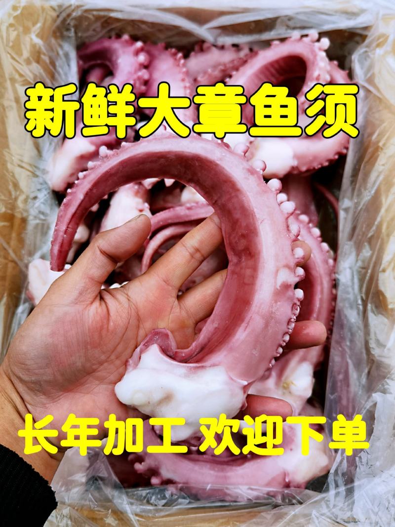 脆口章鱼须大章鱼章鱼足八爪鱼新鲜速冻无冰衣长年加工
