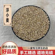 浮小麦中药材瘪小麦小麦漂浮率高包邮