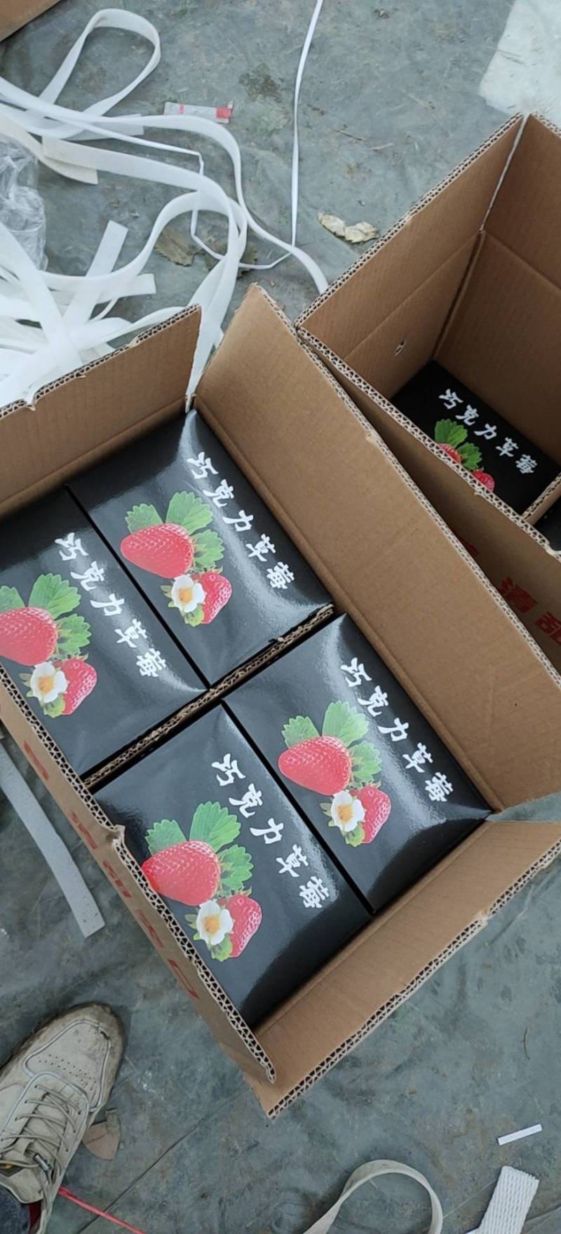 草莓