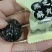 手工制作黑芝麻丸单独包装对接电商平台可一件代发