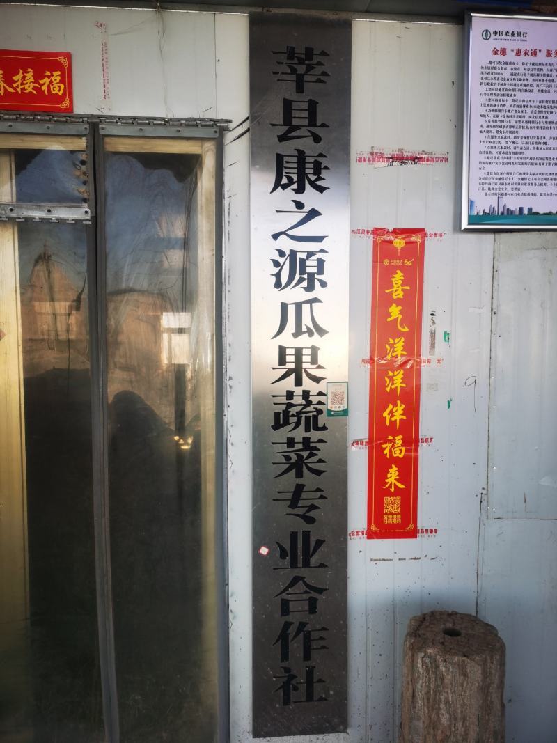 山东莘县百万亩晓密25，基地，大量上市了价格便宜