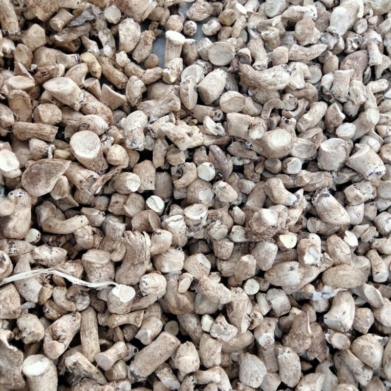 双剪菇脚，香菇，各种规格齐全