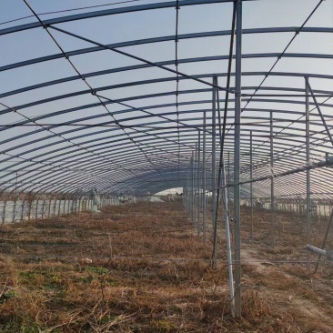 专业生产各种温室大棚钢管全国发货包建