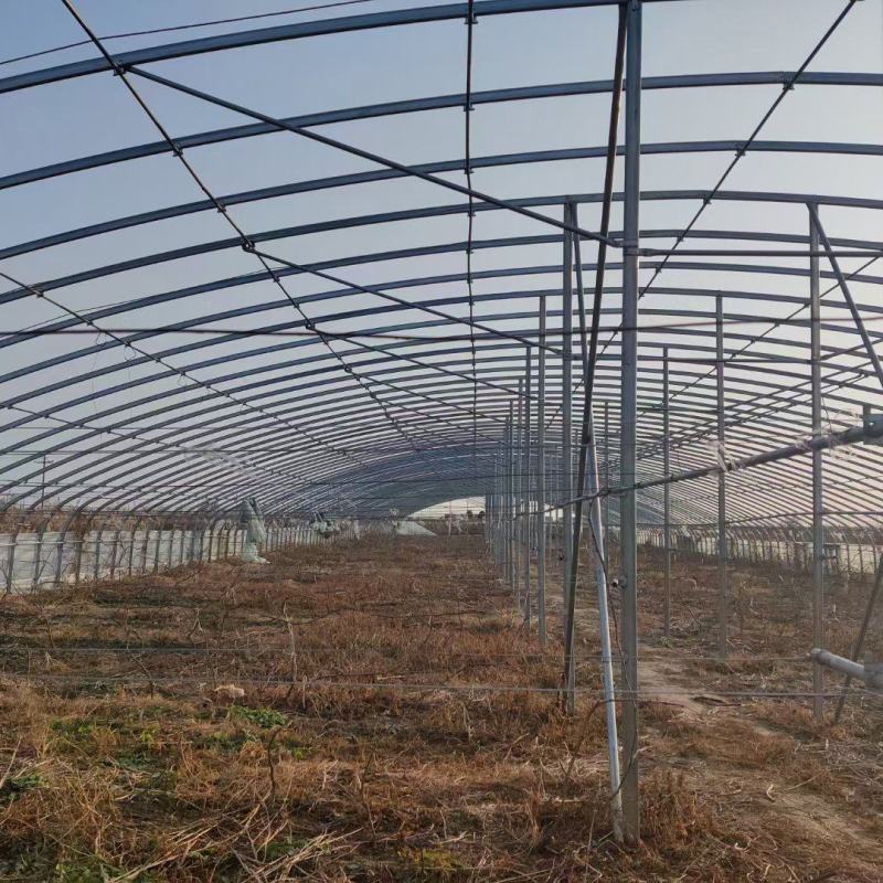 专业生产各种温室大棚钢管全国发货包建