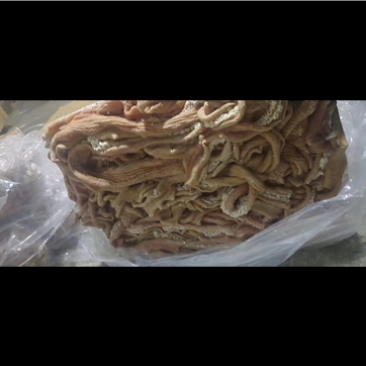 牛小肠